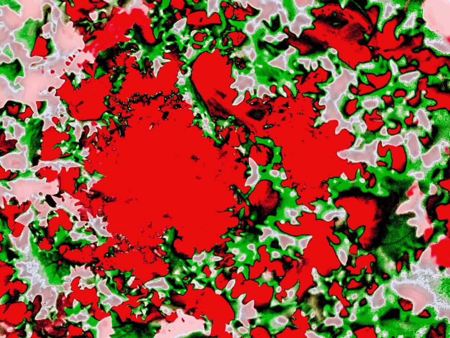 Vortice di Spine e di Dolore 