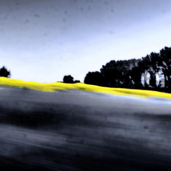 Su di un campo di grano la mia anima gioisce di più    ( On a wheat field, my soul rejoices more ) 