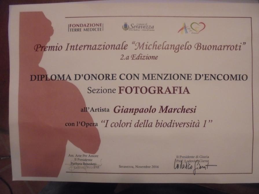 Premio Michelangelo 2016