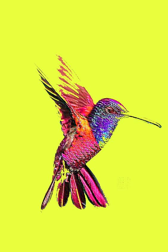 COLIBRI'
