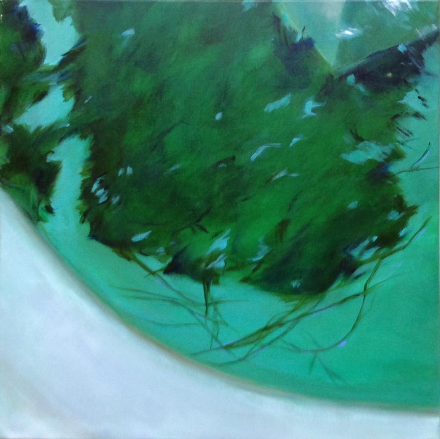 La forma dell' acqua 2