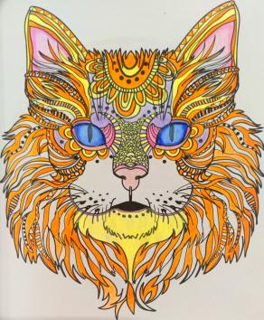 Diagramma felino...!!!