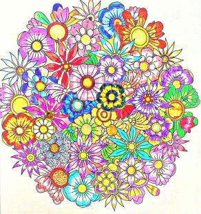 ... Armonia Cromatica della Natura ...