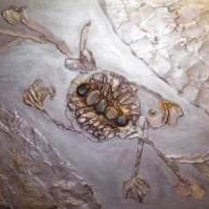 Sleep = Dream Sleep = Dream