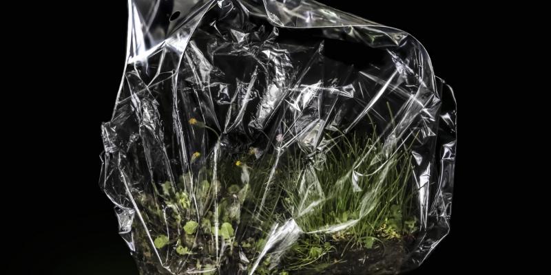 FRAGILE - handle with care / II edizione FRAGILE - handle with care / II edizione