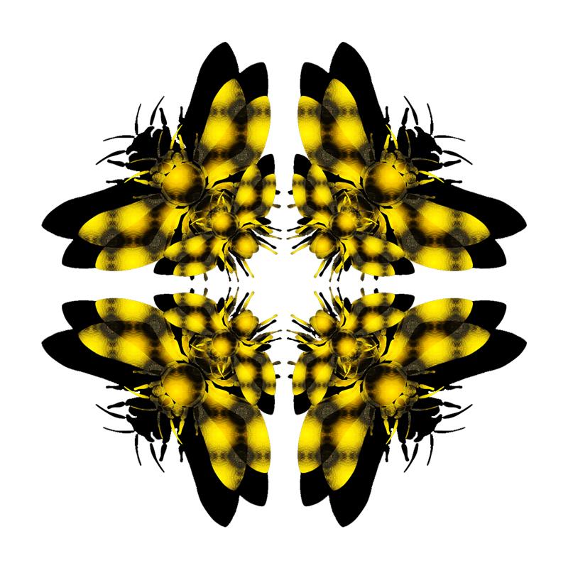 Plight of the Pollinators: Call for Art Plight of the Pollinators: Call for Art