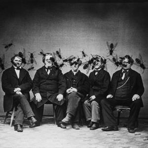 Dimansione Massima 10X12 Dimansione Massima 10X12