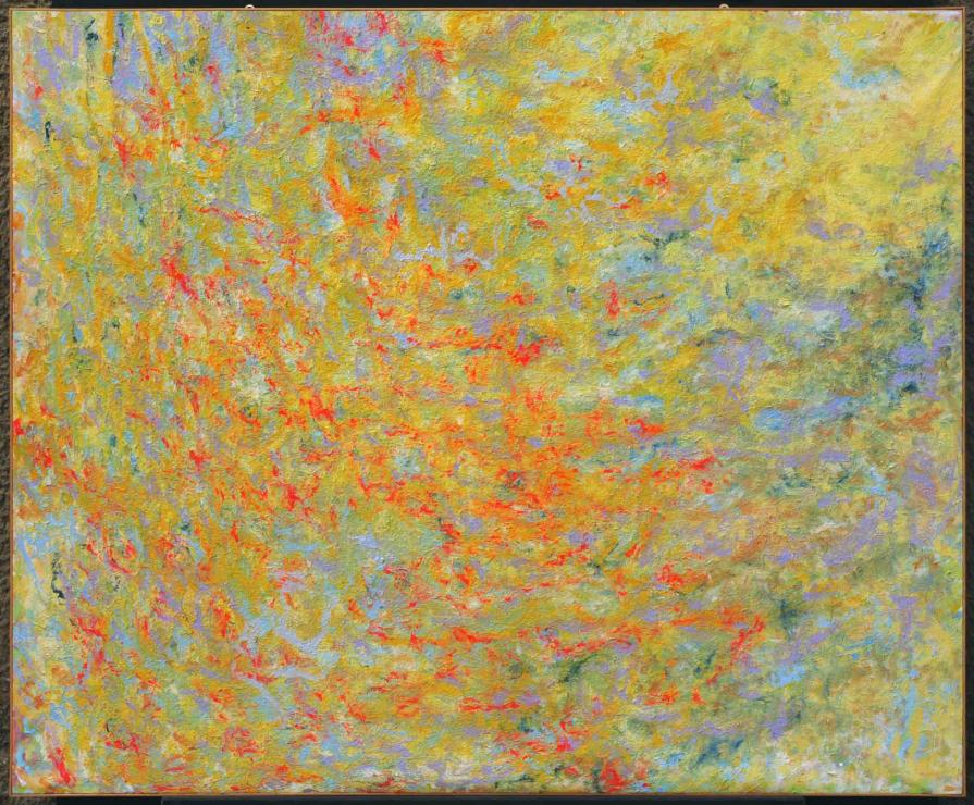  GIARDINO SEGRETO SEMINATO DI EMOZIONI INFINITE 