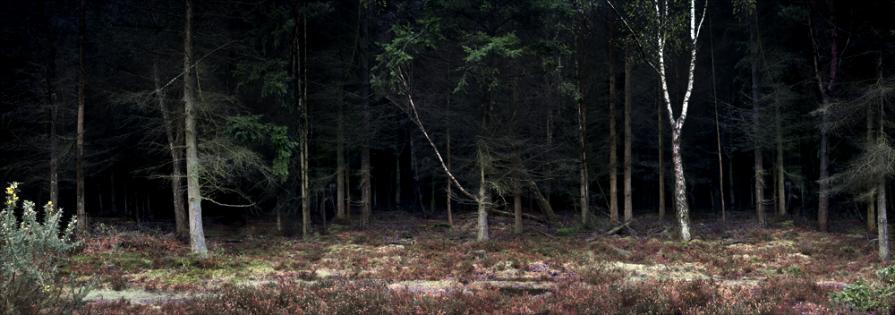 Silent, Dark and Deep Series 2, Image 1