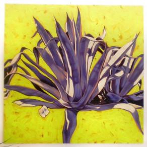agave blu