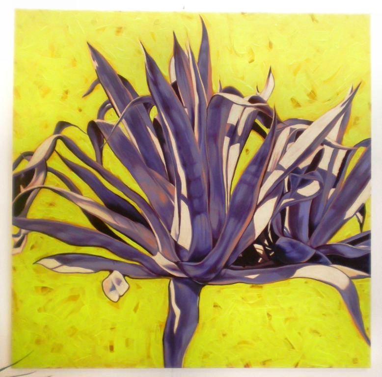 agave blu