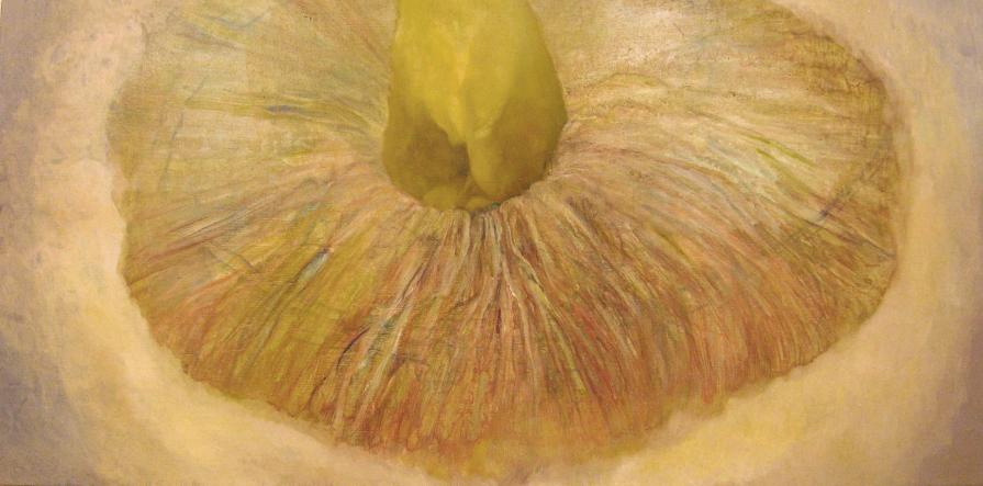 Mushroom 1 Mushroom 1