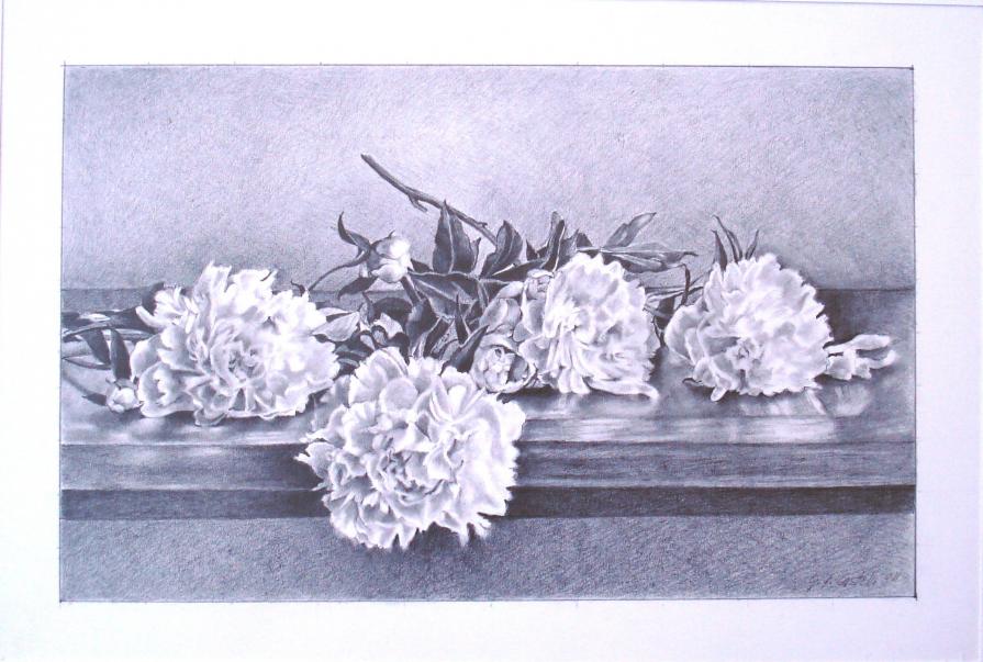 Gianfranco Castelli – Peonie sul tavolo Gianfranco Castelli – Peonie sul tavolo