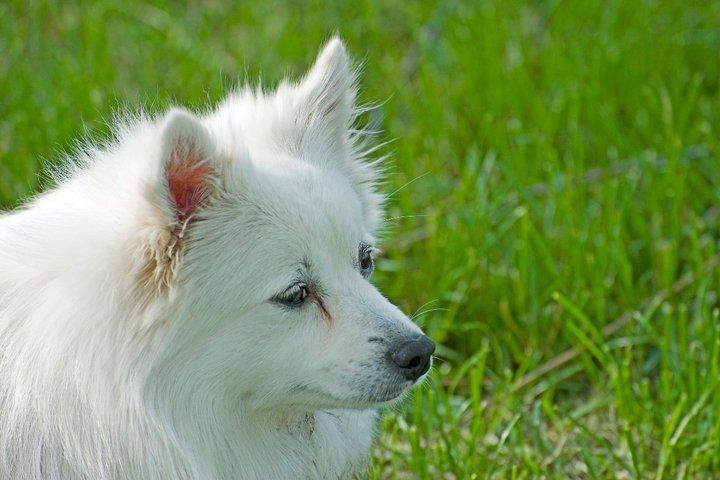 il mio piccolo angelo