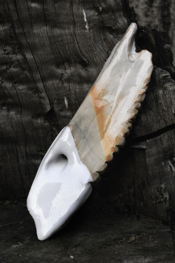 Animal Collective Series 2012