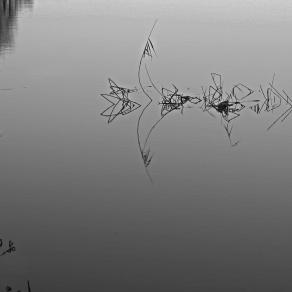 "  GEOMETRIE  METAFISICHE  "