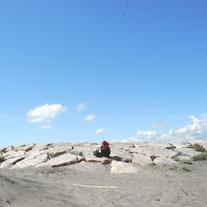 Spring on a solitary beach