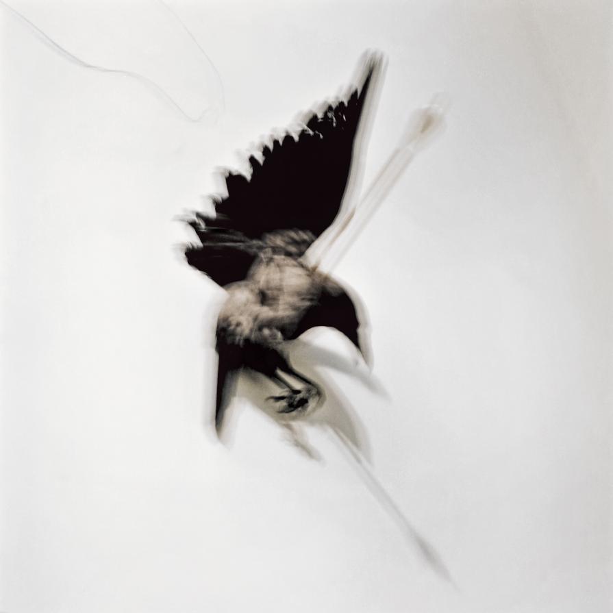 Work from series Aura Project Work from series Aura Project