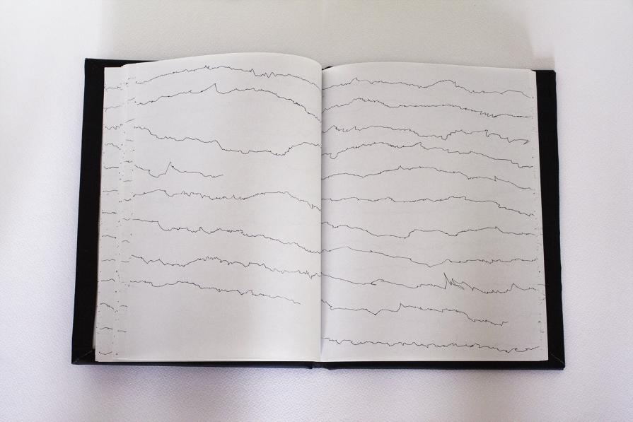 Il tragitto che ho percorso