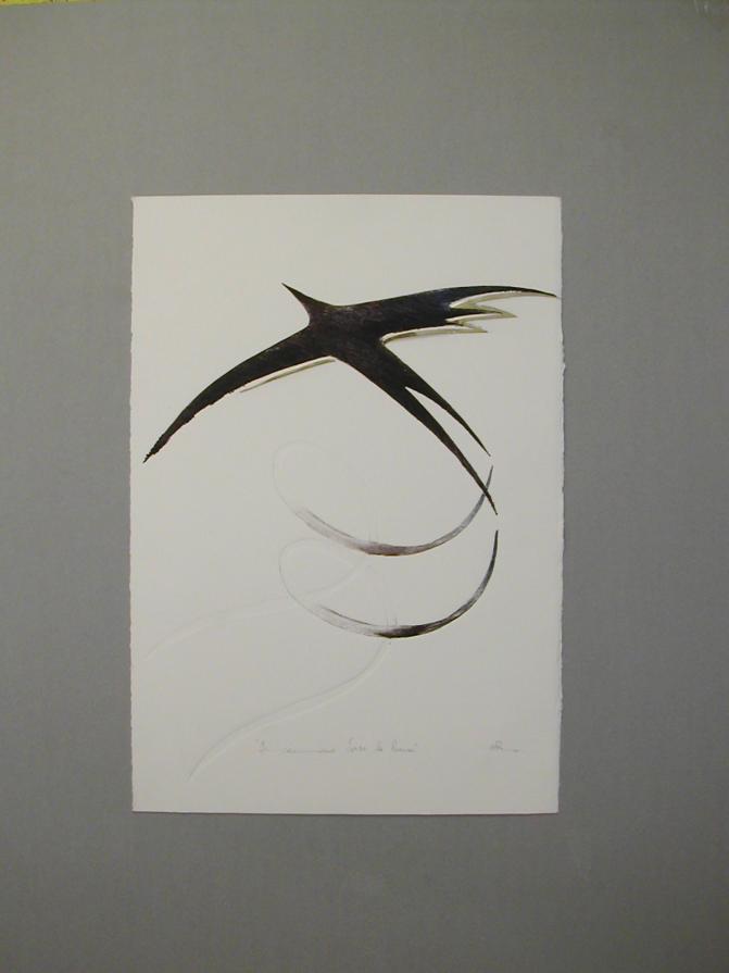 ASSENZE MATERIA DELL'ANIMA - in cammino verso la luna