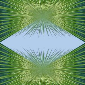 08-Agave