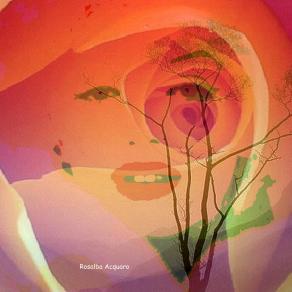 Il sole negli occchi