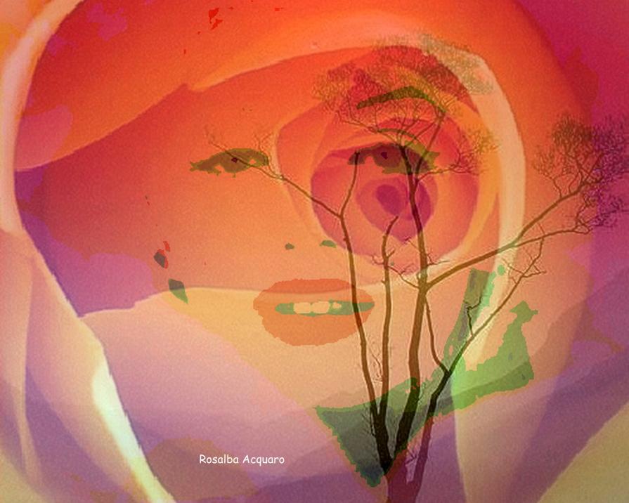 Il sole negli occchi