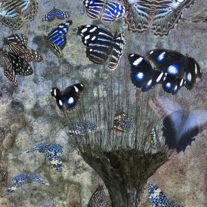 psyché, l'ultimo respiro