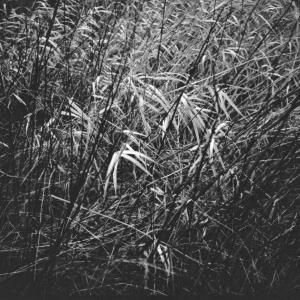 Between Worlds Between Worlds