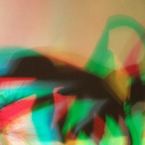 I colori della biodiversità -2015