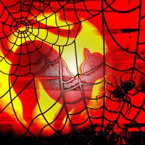 Una notte di paura !!!