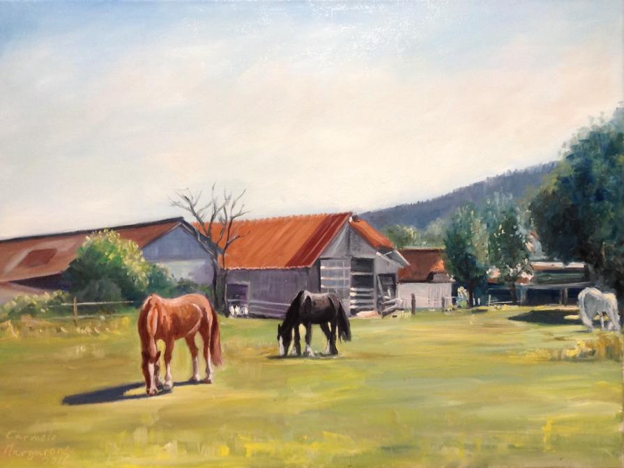 Gründelhardt Pferde