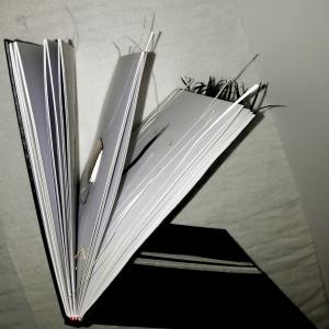 Letizia Ardillo -Chi chiuse tra due porte il mare- 2017 Letizia Ardillo -Chi chiuse tra due porte il mare- 2017