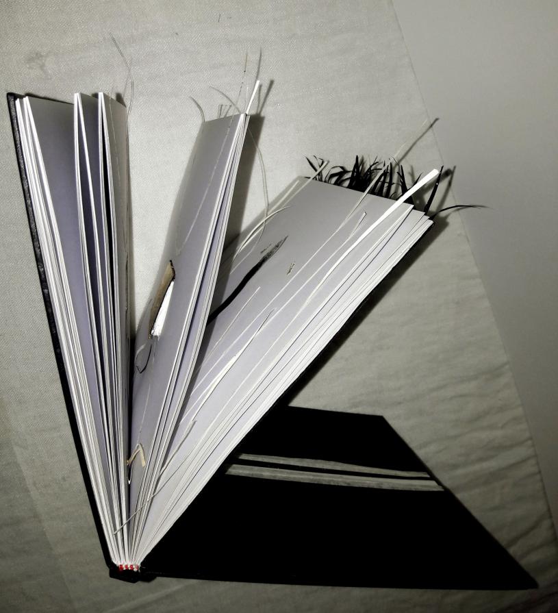 Letizia Ardillo -Chi chiuse tra due porte il mare- 2017