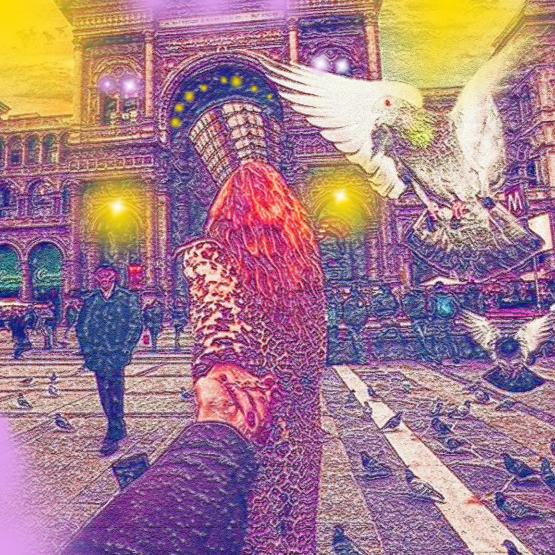 Seguimi . . . Seguimi . . .