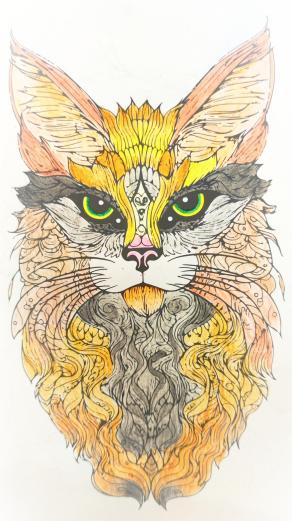 Il gatto che camminava sulle nuvole...!!!