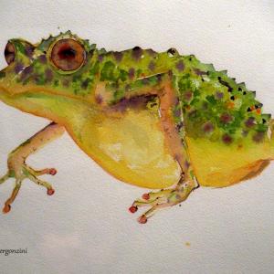 ANIMALS ART al Club La Meridiana di Modena