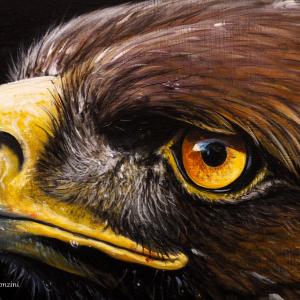 ANIMALS ART al Club La Meridiana di Modena