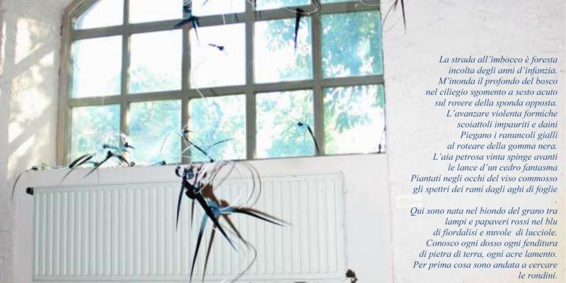 TRAME DELL'ANIMA TRAME DELL'ANIMA