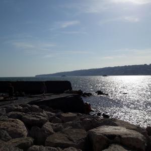 Biennial Art Book IV edition edited by Gennaro Ippolito and Giovanna Donnarumma