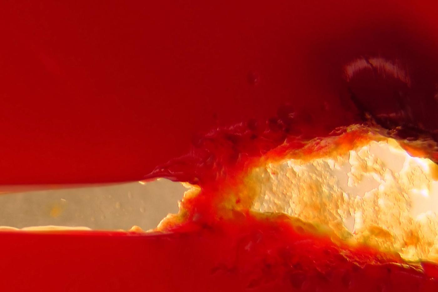 Letizia Rostagno "Auto ritratta"