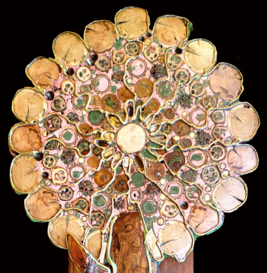 sweetness tree sweetness tree