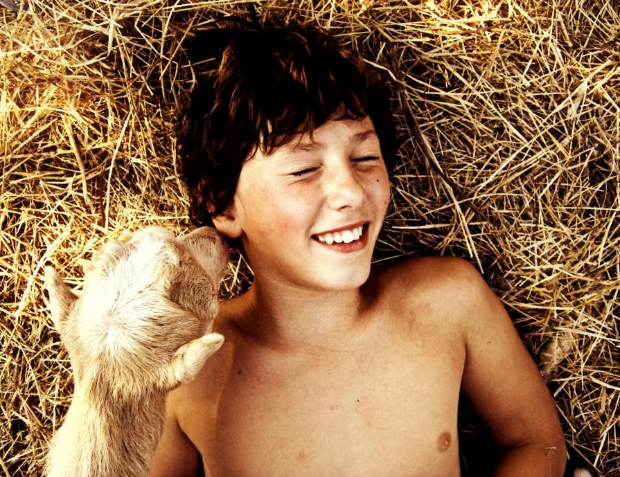 is not the time for siesta