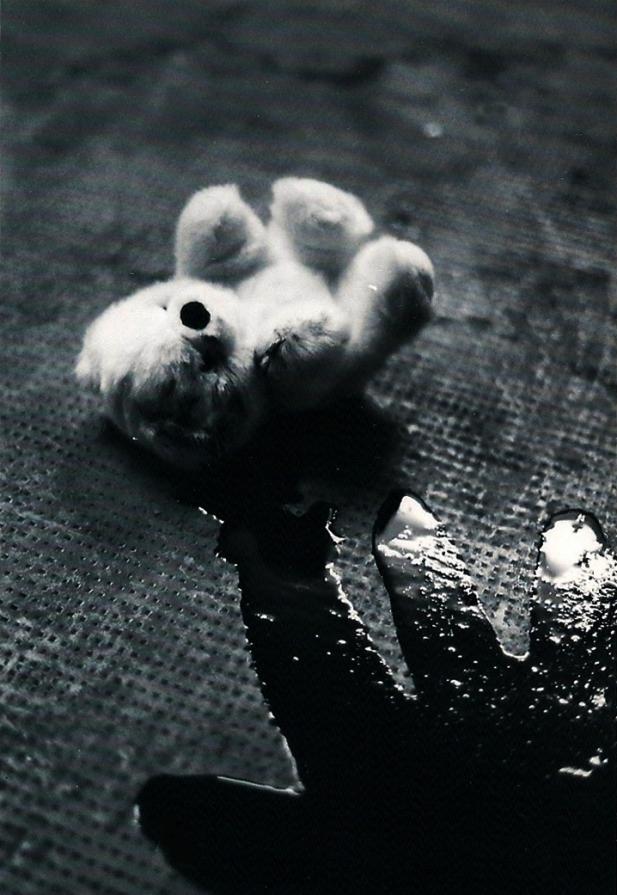 "Silenzio colpevole3"