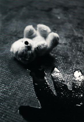 "Silenzio colpevole3"