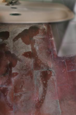 casualmente assisto ad un incontro a due , seduto sulla tazza del vc.