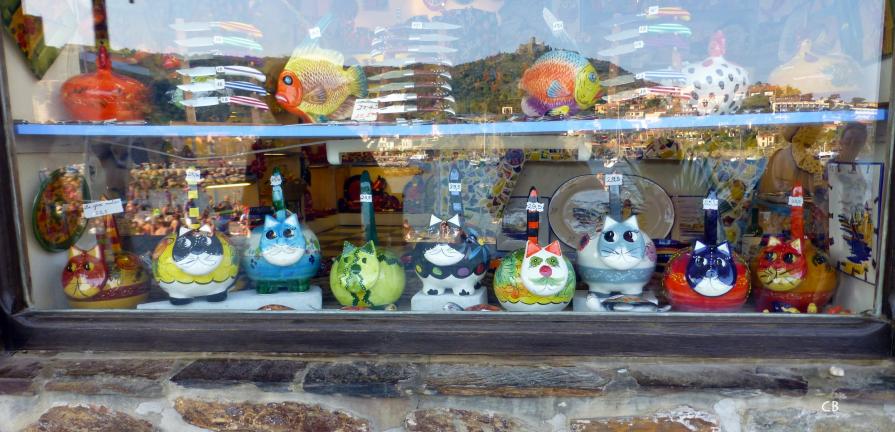 Les chats de Collioure !