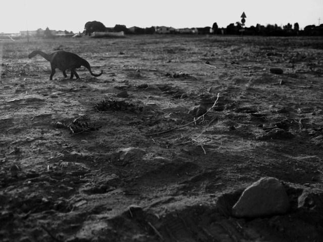 La nuova tribù La nuova tribù