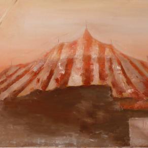 Il circo in periferia