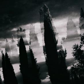 Il viale del ricordo 